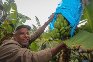 São Paulo Impulsiona Agricultura Familiar com Compras Públicas Recordes