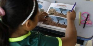 Educação Ambiental e Justiça Climática em Foco em Conferência Nacional