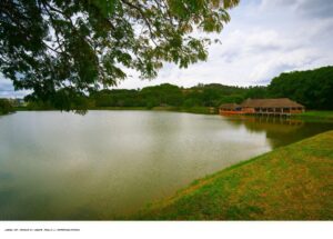 Jarinu Inaugura Anfiteatro e Nova Área de Eventos em Parque Municipal