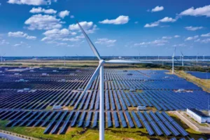 Agenda Verde: O Que É, Benefícios e Como Participar de Iniciativas Sustentáveis que Transformam o Planeta