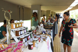 Feira Raízes do Entorno celebra Dia da Mulher e destaca artesãs em Brasília