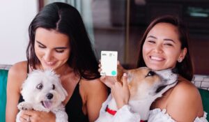 Noh e Dog Life firmam parceria para zerar mensalidade de usuários com pets