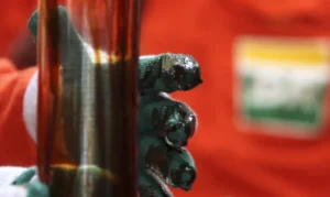 Prioridade ao petróleo na Foz do Amazonas pode custar R$ 47 bilhões ao Brasil, aponta estudo