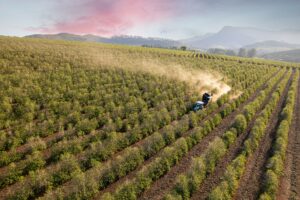 Rotas do Café em São Paulo alavancam turismo e elevam faturamento regional