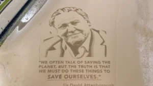 David Attenborough celebra 100 anos com documentário sobre gorilas