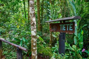 Turismo de natureza em São Paulo: guia da Setur-sp destaca Mantiqueira e Tietê