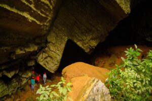 Guia de Vida Silvestre de SP revela Vale do Ribeira como novo polo de ecoturismo