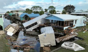 Tubarões se Tornam Super-Heróis do Clima: Cientistas Usam Predadores Marinhos para Prever Furacões com Precisão Inédita
